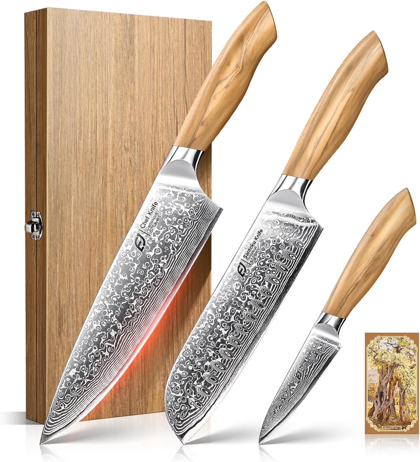 Emojoy Damascus Kitchen Knife Set - 3 PCS Chef Knife Set