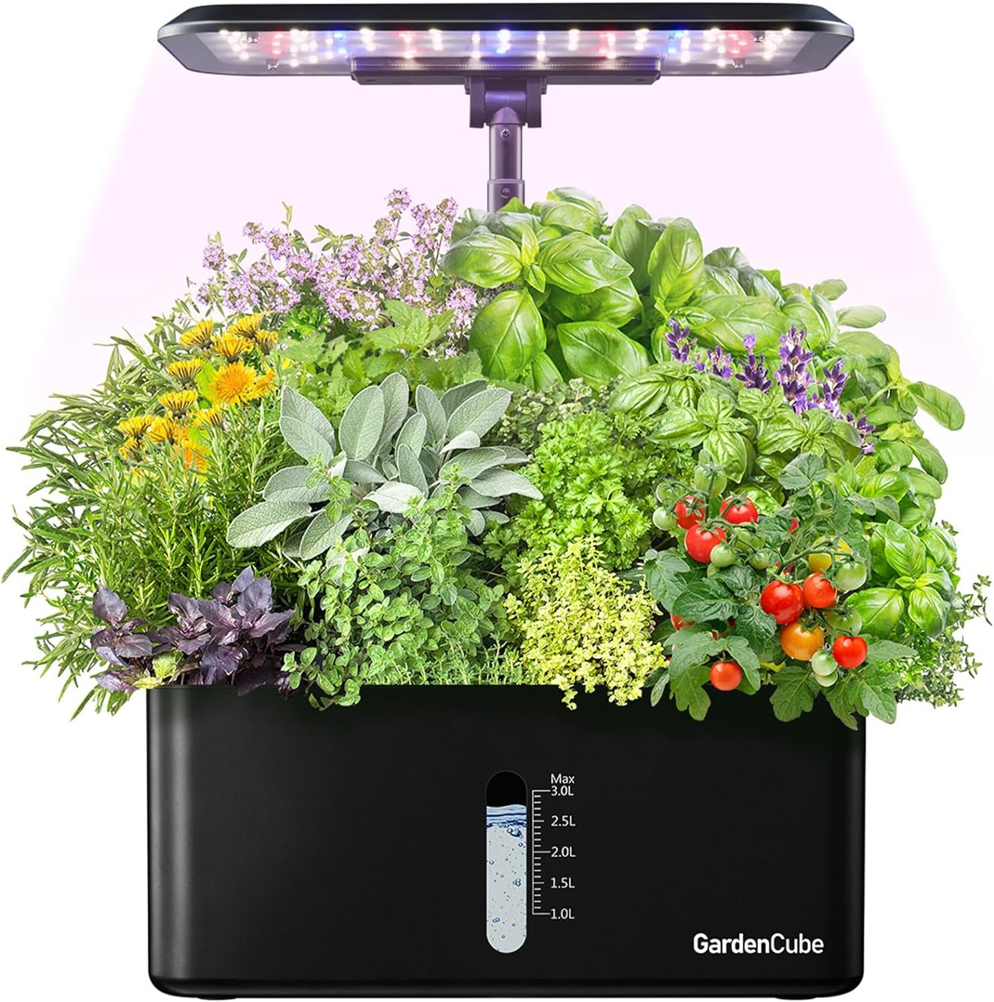 Grow Fresh Herbs With Ease: GARDENCUBE Hydro Kit