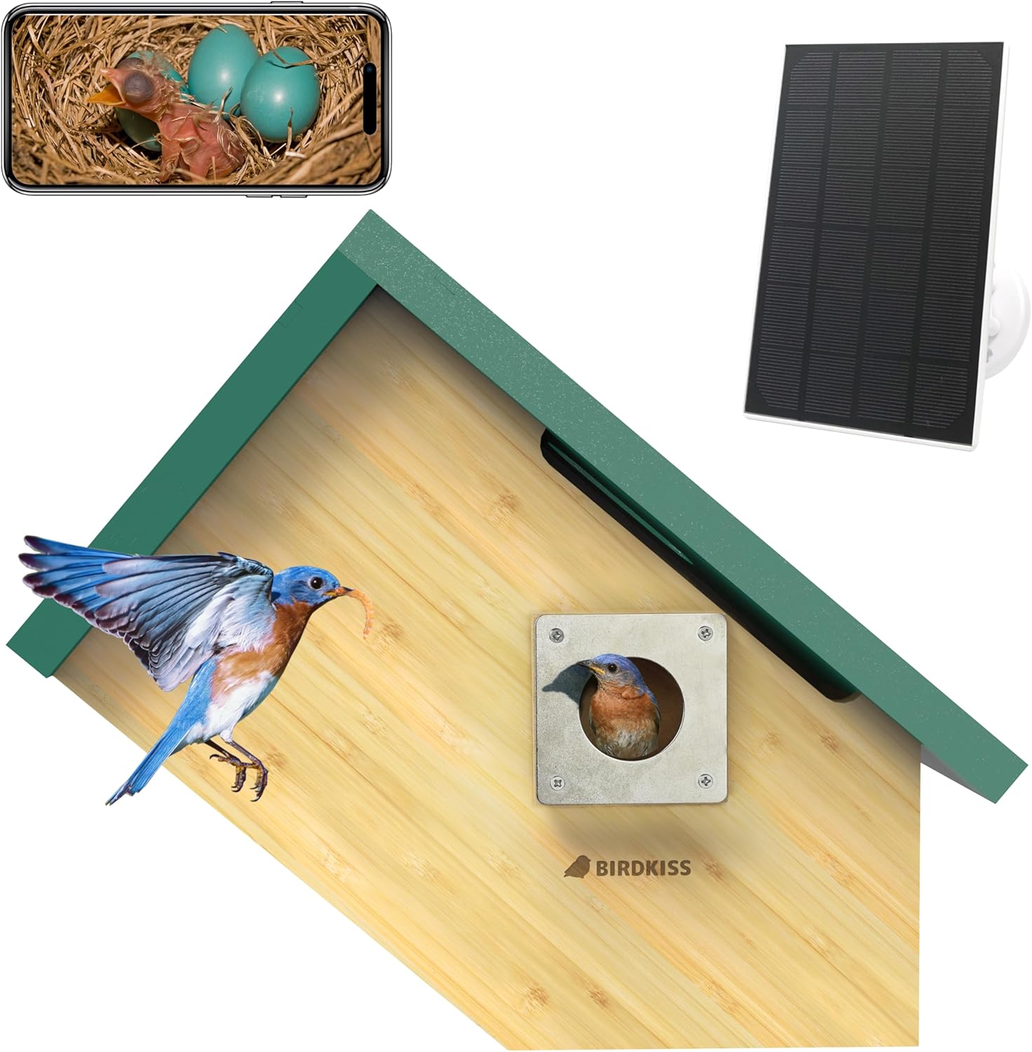 1080P HD Solar Birdhouse - Ideal Nesting View