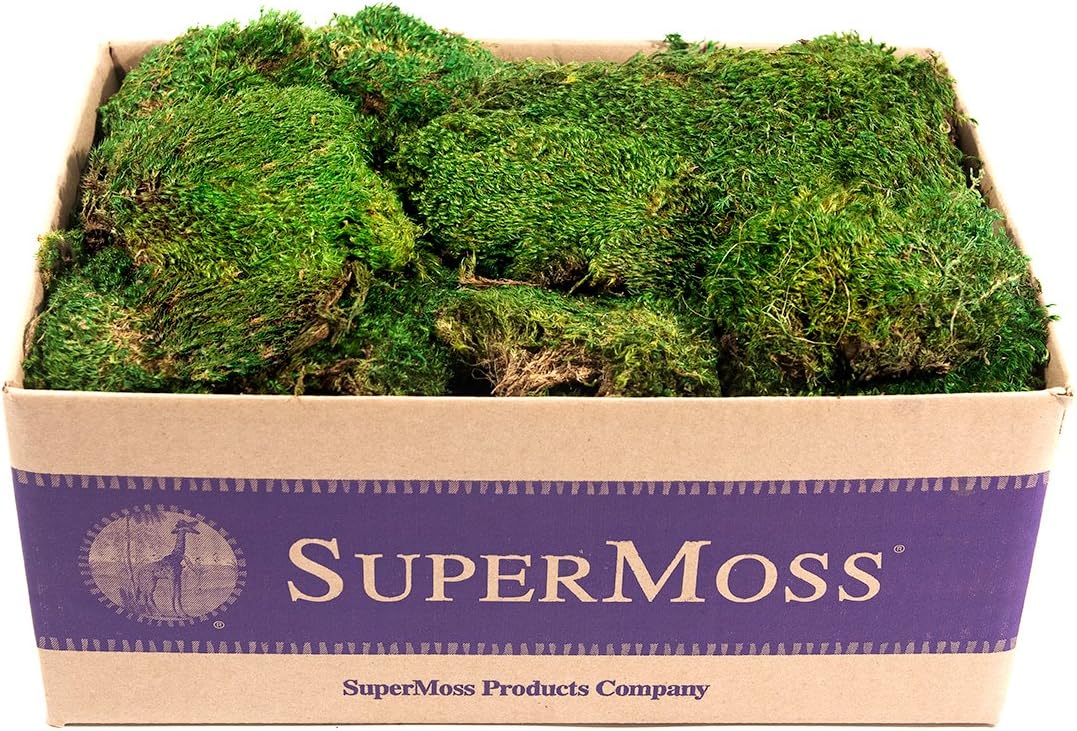 SuperMoss Mood Moss Preserved Fresh Green for Floral Designs