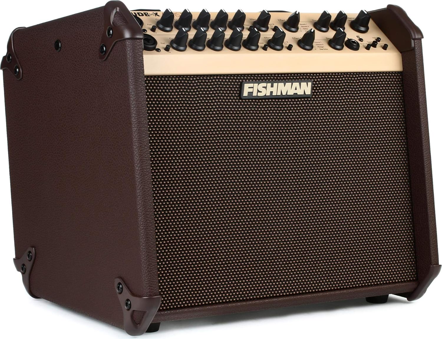 Fishman Loudbox Artist BT 120-Watt Acoustic Combo Amp Review