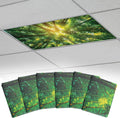 Fluorescent Light Covers with 10 Strong Magnets - 6 Pack Forest