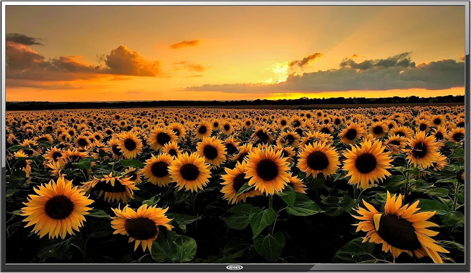 Jensen 50 LED TV: Crystal Clear Resolution