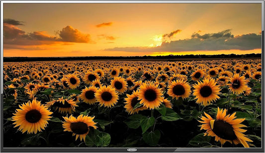 Jensen 50 LED TV: Crystal Clear Resolution