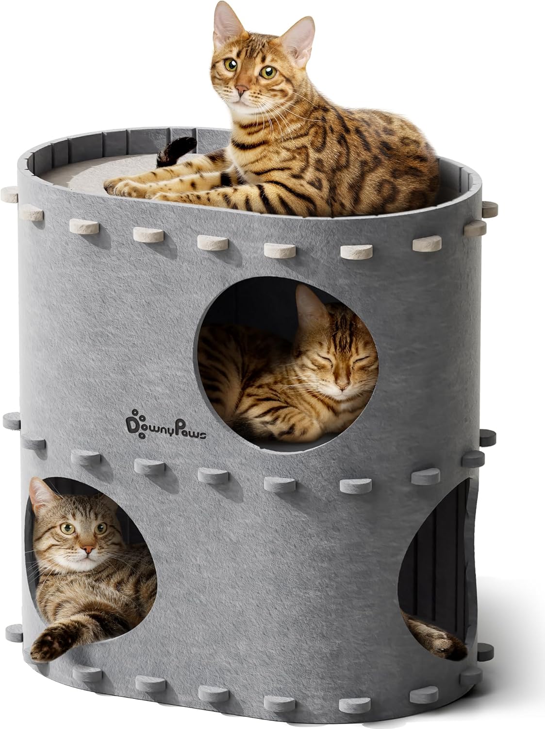 DownyPaws Cat House for Indoor Cats - Cozy Multi-Cat Haven