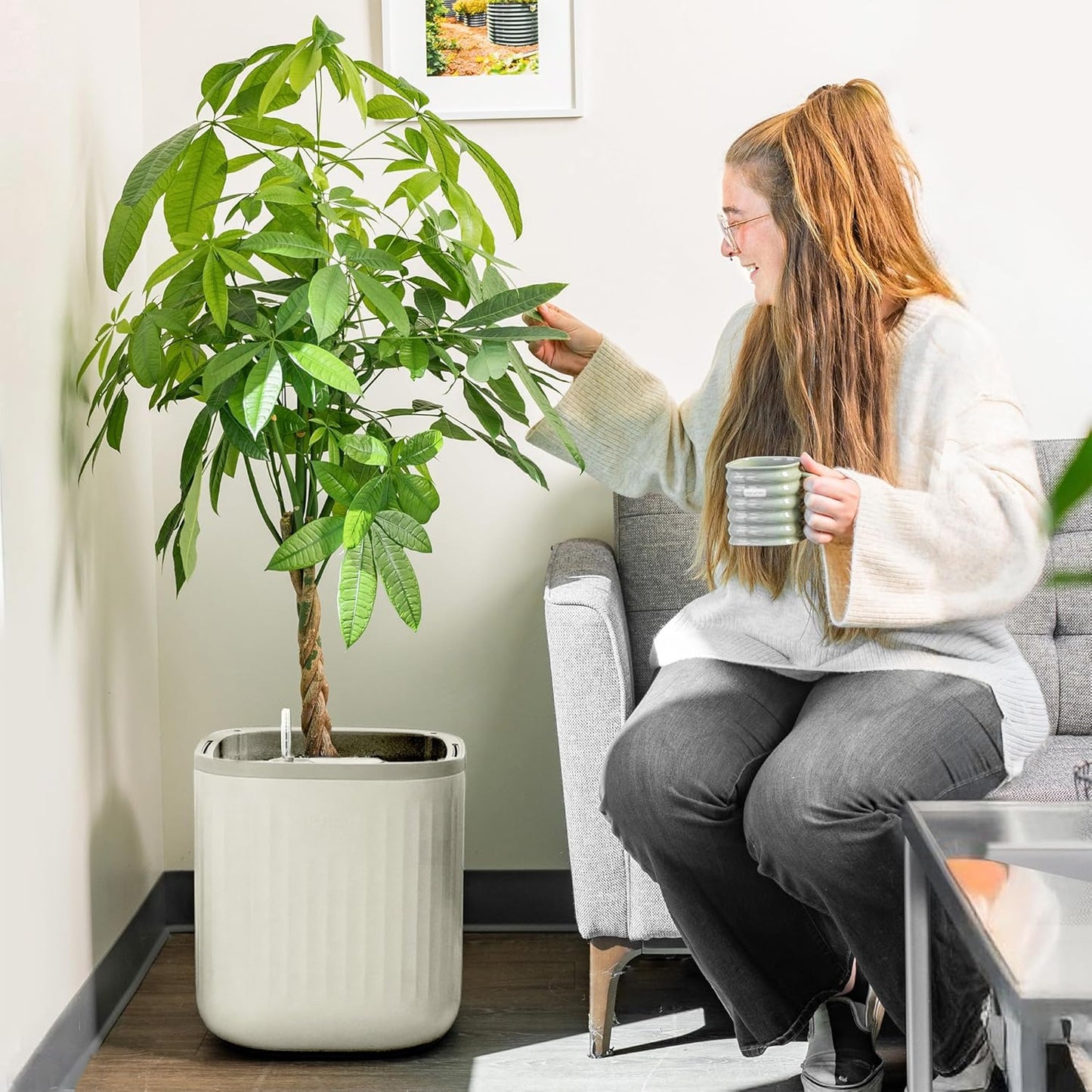 Self Watering Pots for Indoor Plants with Water Gauge - Cream White