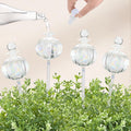 10 oz Large Top Fill Cactus Plant Watering Globes - Slow Release 4