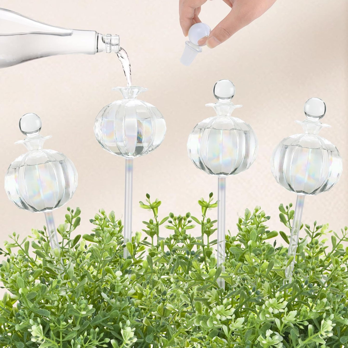 10 oz Large Top Fill Cactus Plant Watering Globes for Easy Care