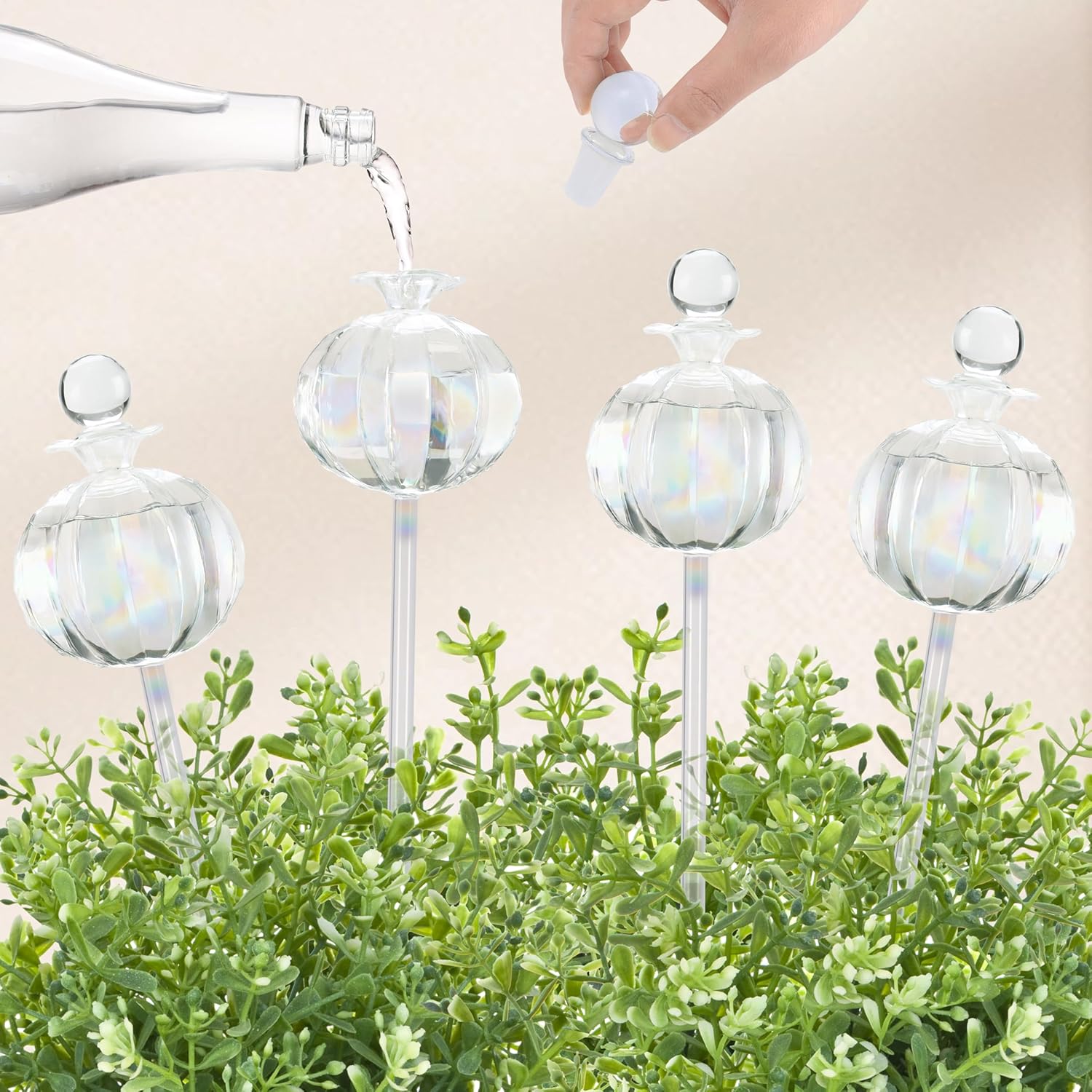 10 oz Large Top Fill Cactus Plant Watering Globes for Easy Care