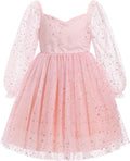 Toddler Girl Birthday Dress Floral Confetti Tulle - Sparkly Photo