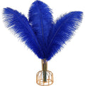 Blue Ostrich Feathers 12pcs 20-22in Natural Plumes - Bulk Decor