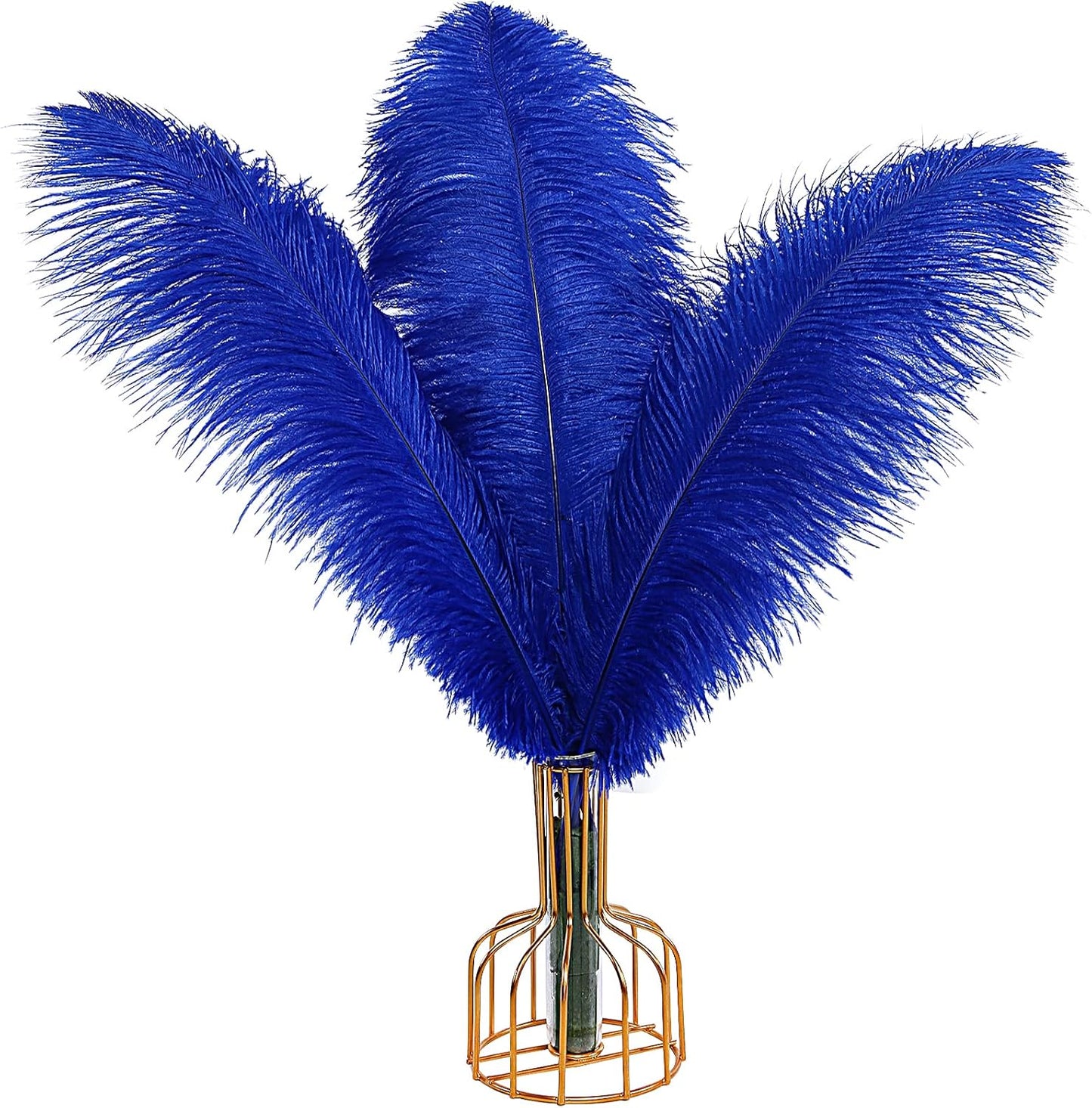 Natural Ostrich Feathers for Elegant Weddings and Home Decor