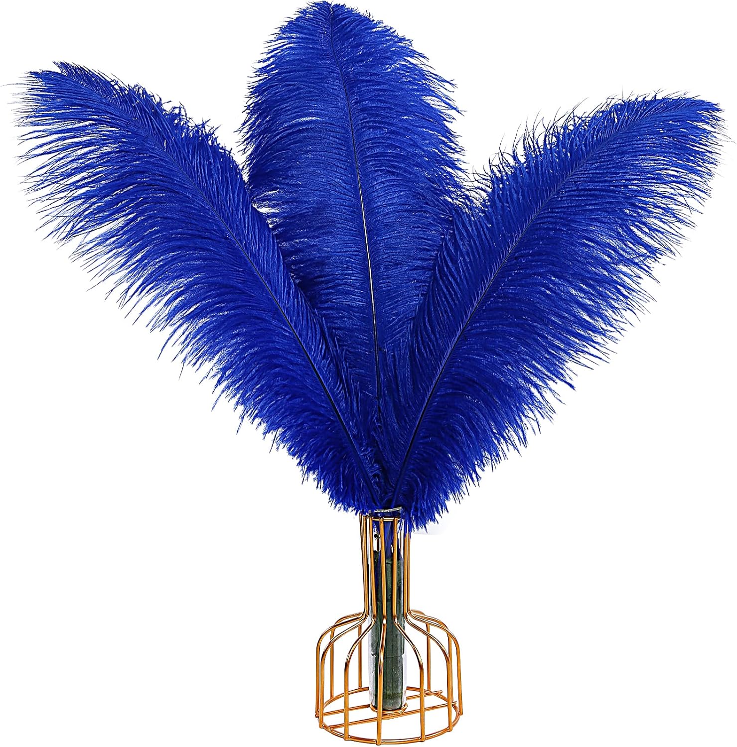 Natural Ostrich Feathers for Elegant Weddings and Home Decor