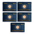 wisedry 100g See-Through Desiccant Packs 5-Pack - Reusable Moisture