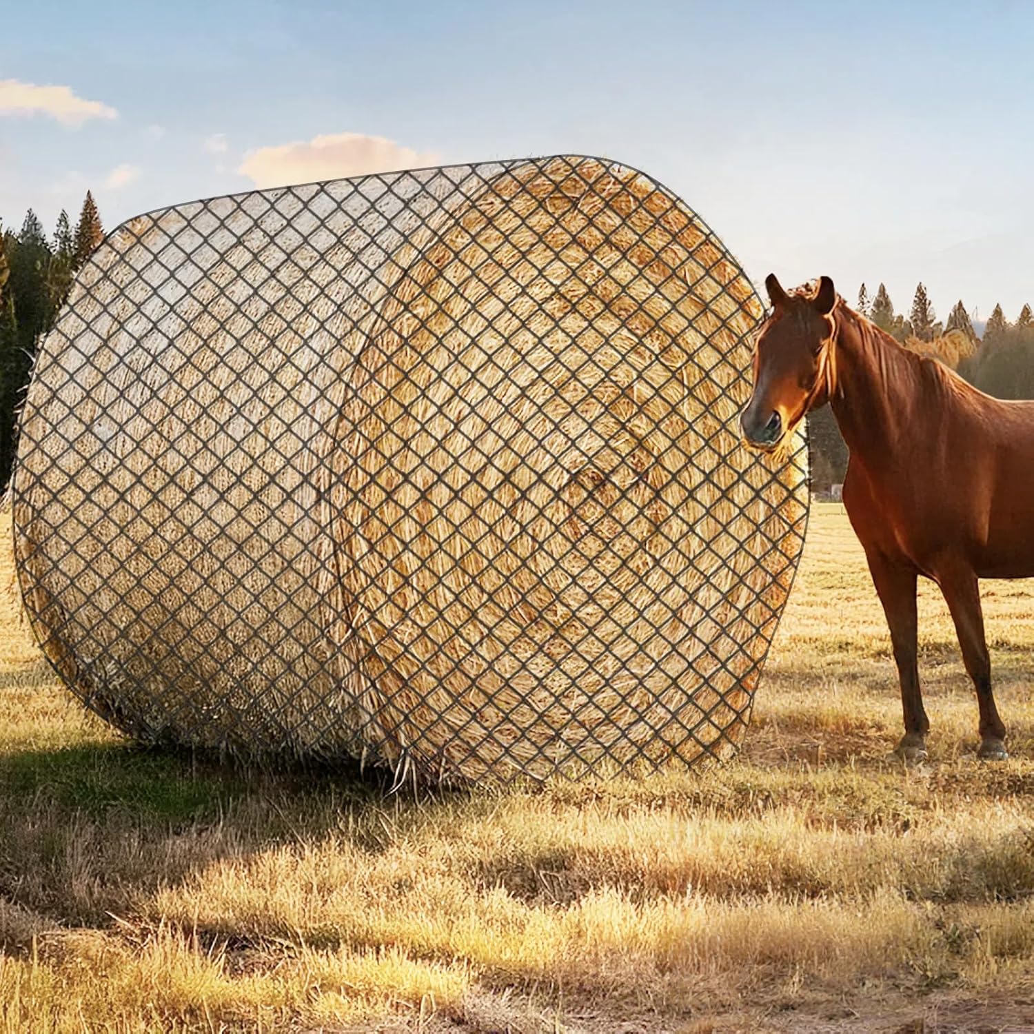 Large Round Bale Hay Net for Horses - Durable Knotless Design