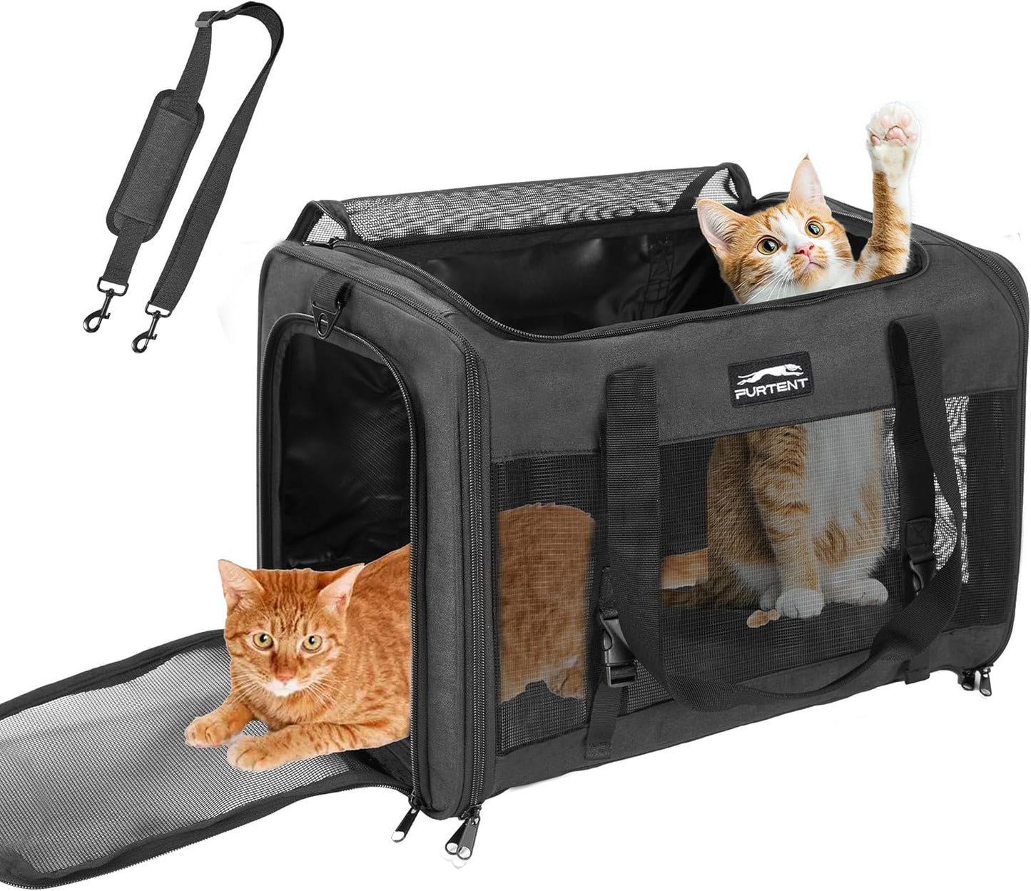 Spacious Pet Carrier for Large Cats and Small Dogs, Black