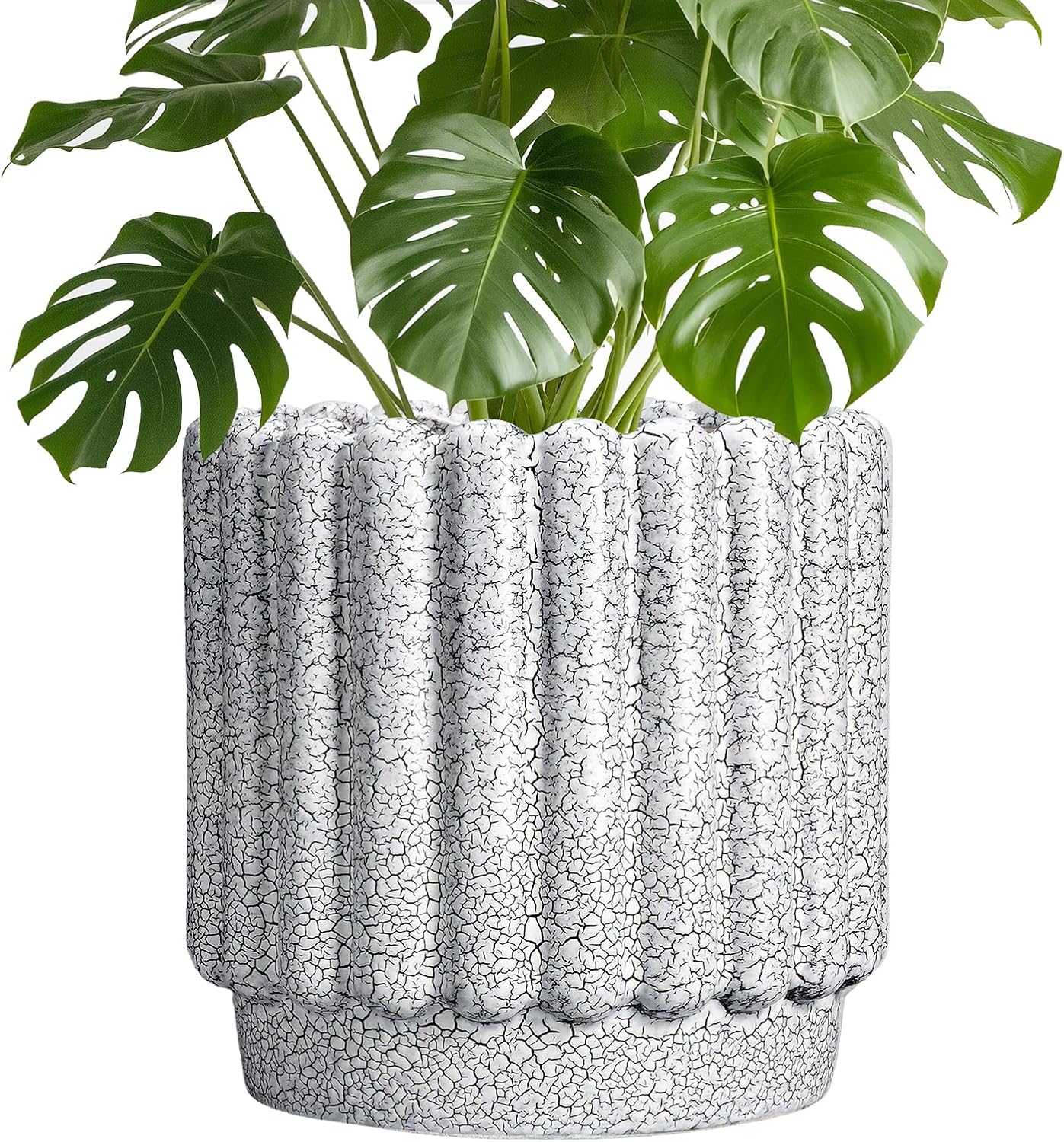 Stylish Ceramic Flower Pots - 9.6 Inch Indoor Planter Design