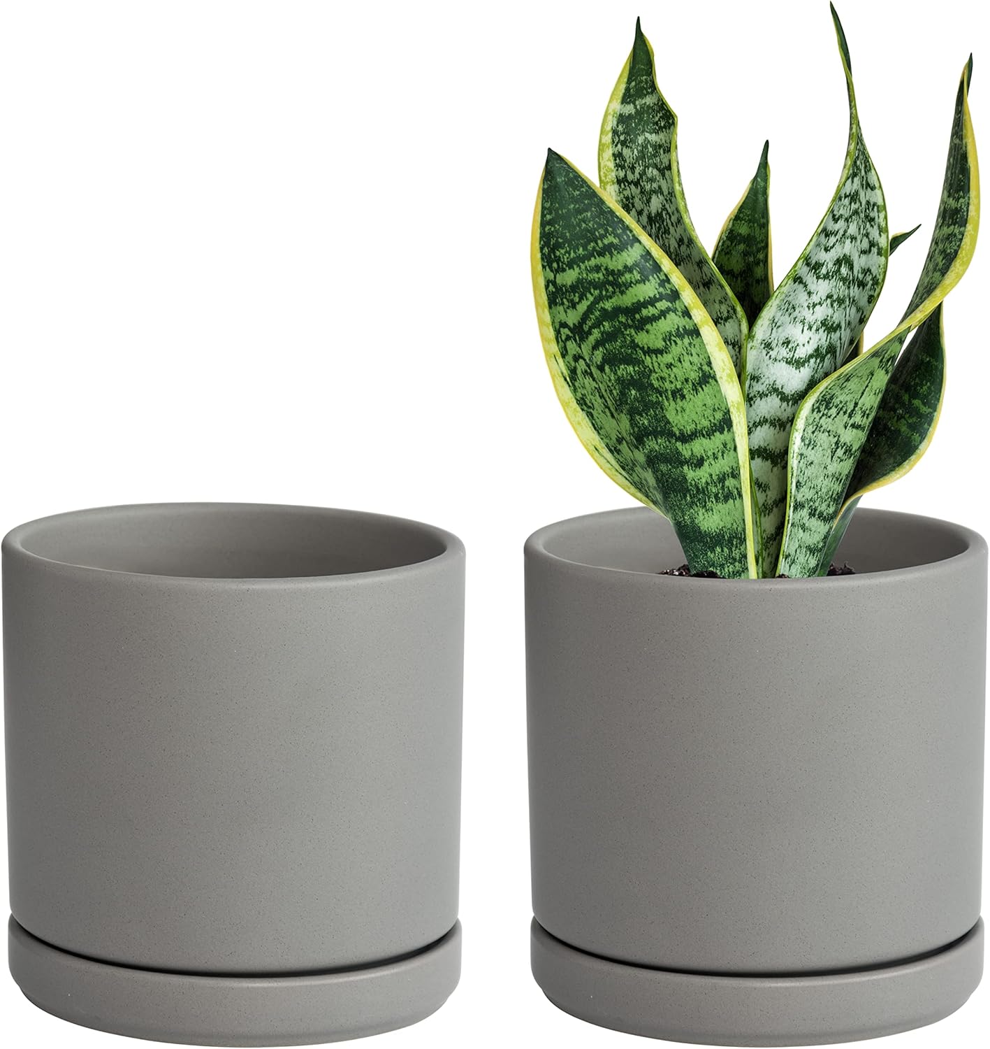 D'vine Dev Set of 2 Ceramic Planter Pots for Plants