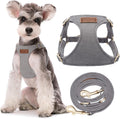 No Pull Small Dog Harness Silver Grey S - Lightweight Vest