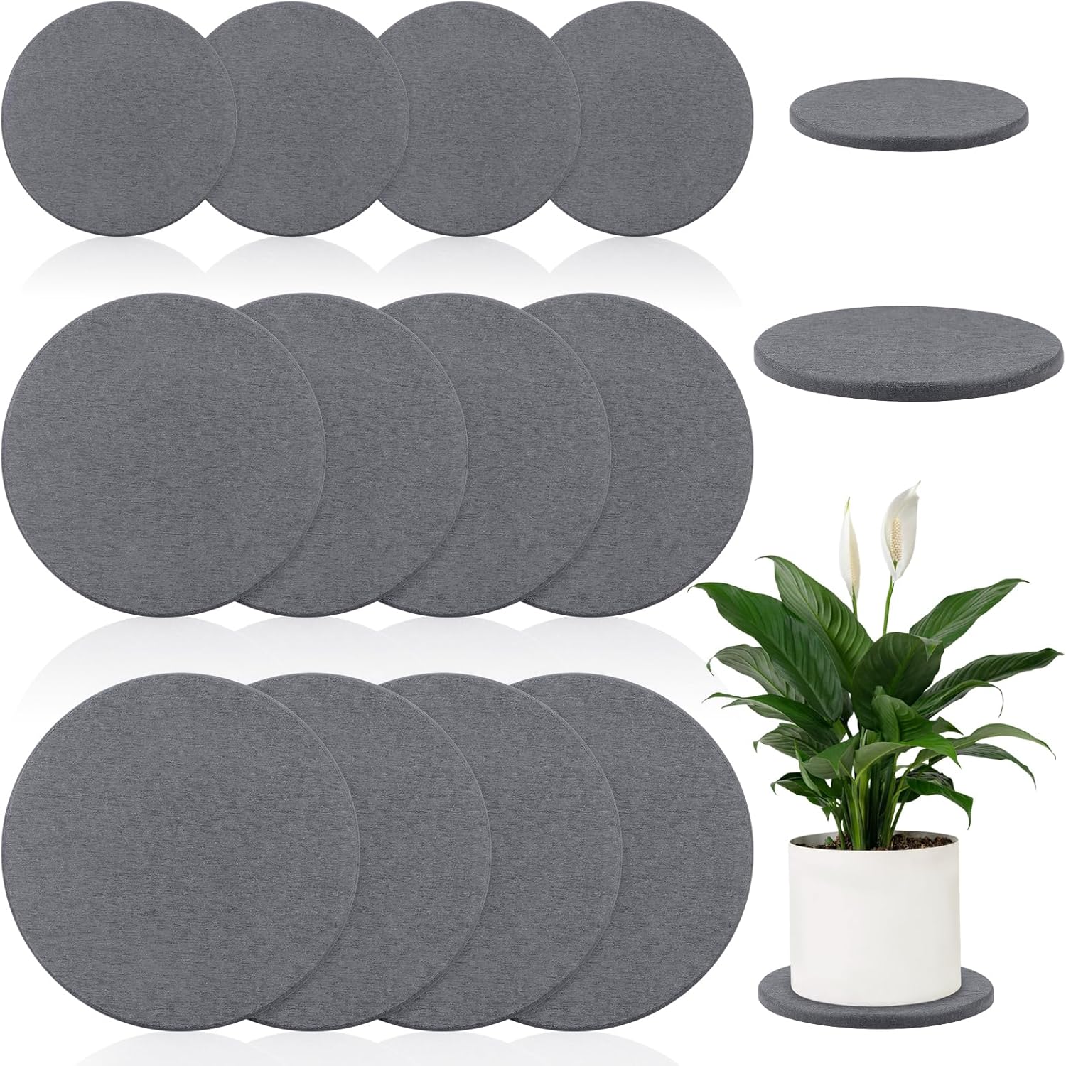 Diatomaceous Earth Coaster Set for Elegant Plant Care Solutions