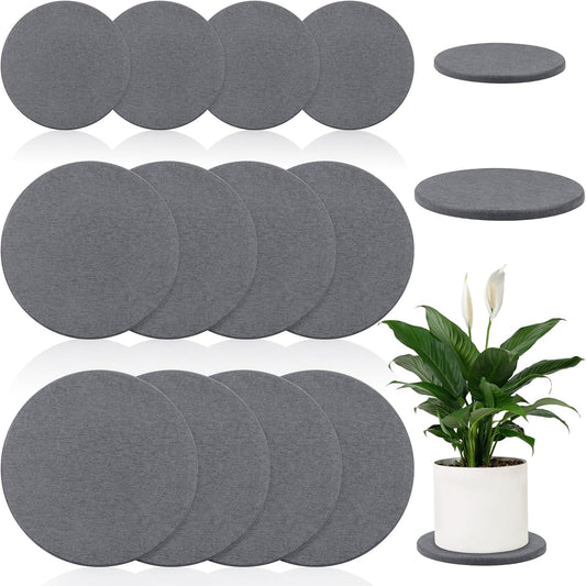Diatomaceous Earth Coaster Set for Elegant Plant Care Solutions