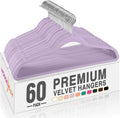 HOUSE DAY Lt-Purple Velvet Hangers 60 Pack - Slim Non Slip Closet
