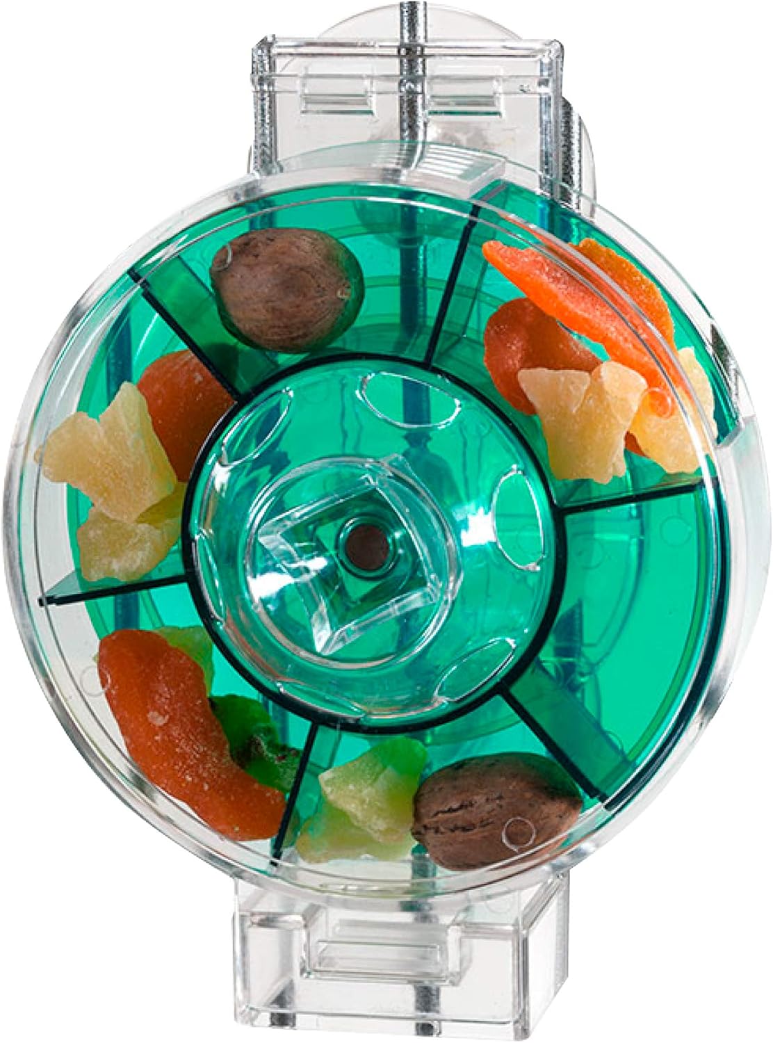 Interactive Bird Feeder for Large Birds - Foraging Wheel Fun