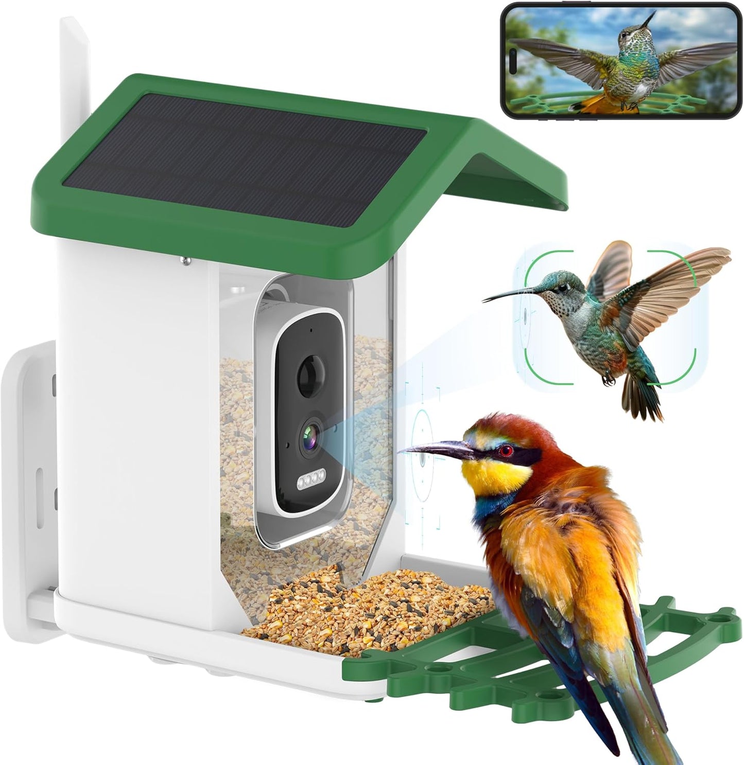 4K Bird Feeder Camera - AI Identify - Solar Power