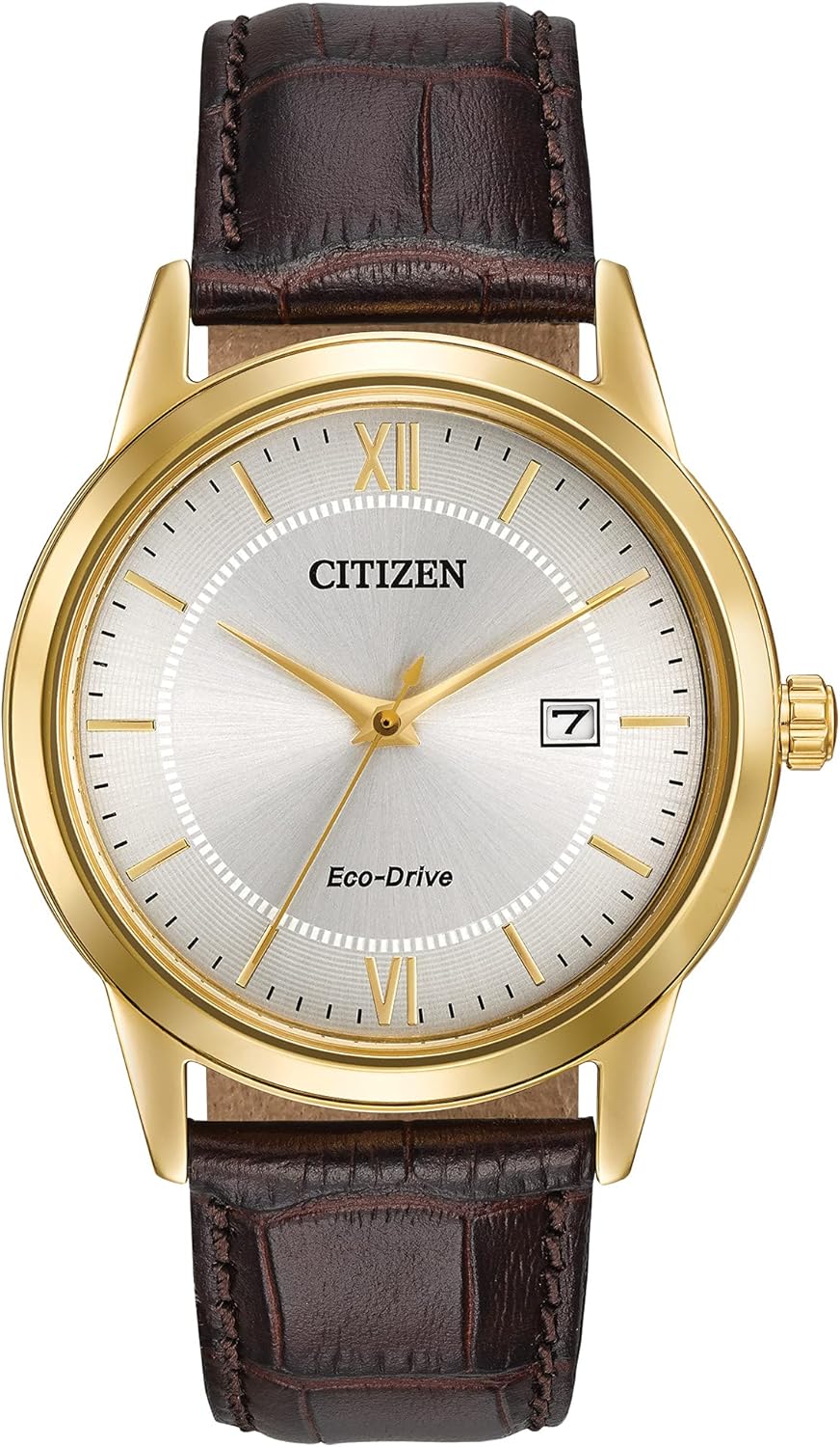 Citizen Men's Classic Eco-Drive Leather Strap Watch Review