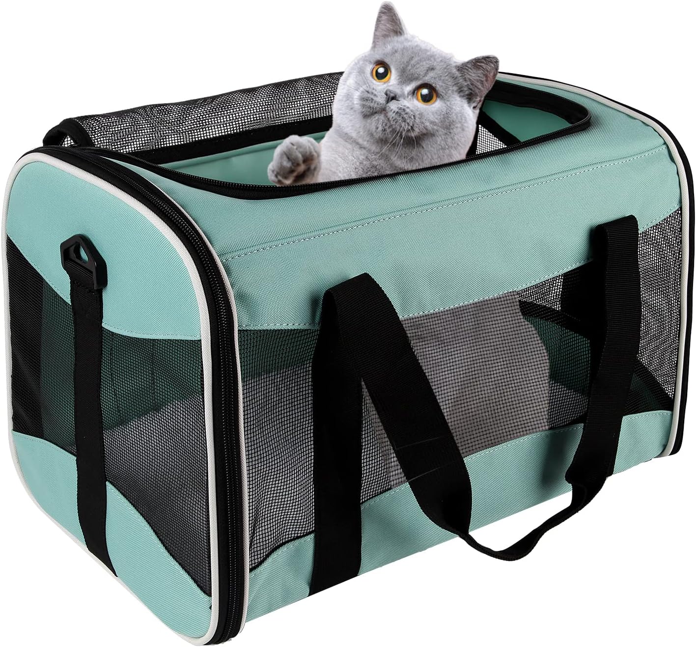 Cat Carrying Case - Soft Sided Pet Carrier for Travel Comfort