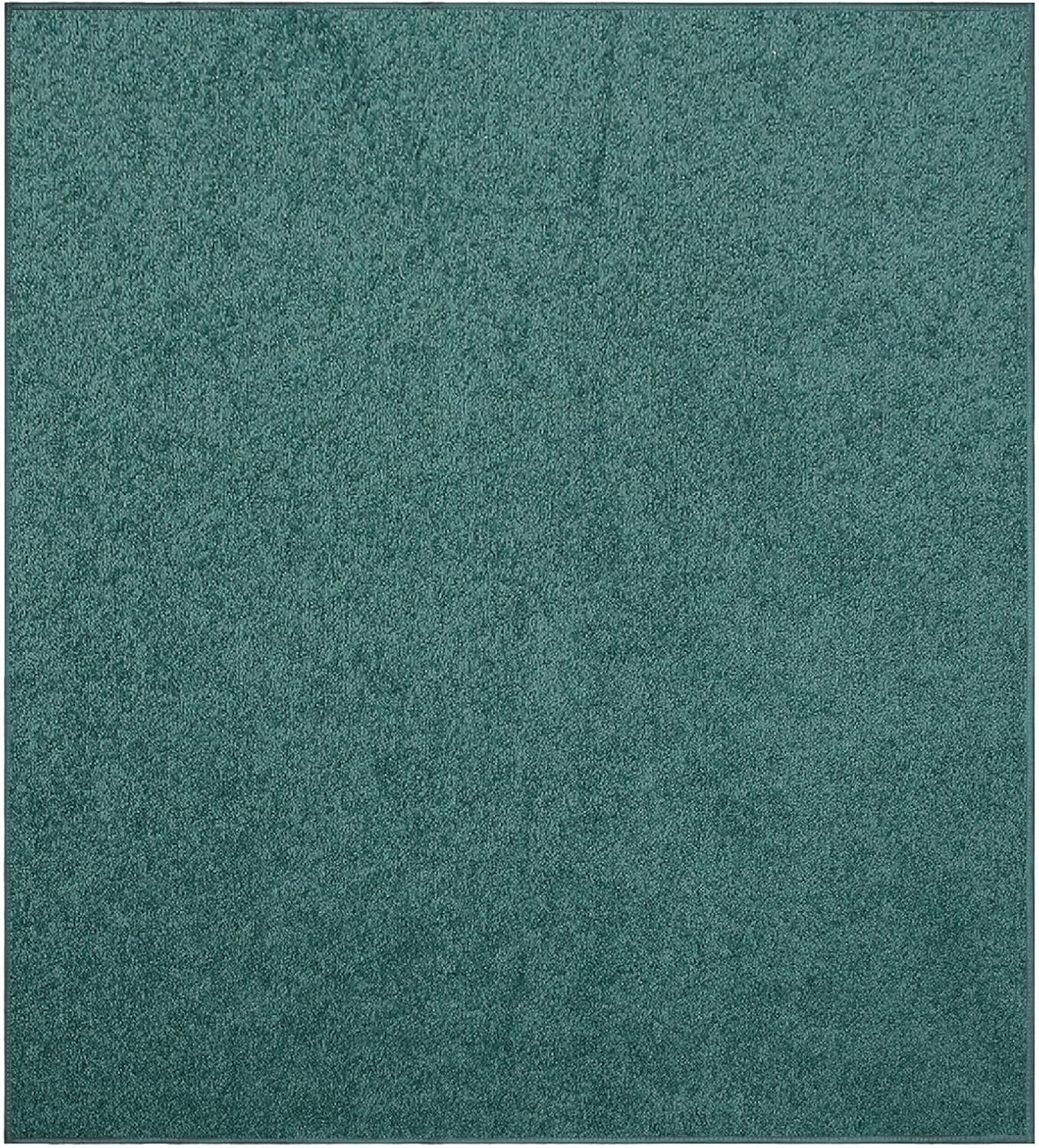 Ambiant Pet Friendly Solid Color Area Rugs in Teal for Home