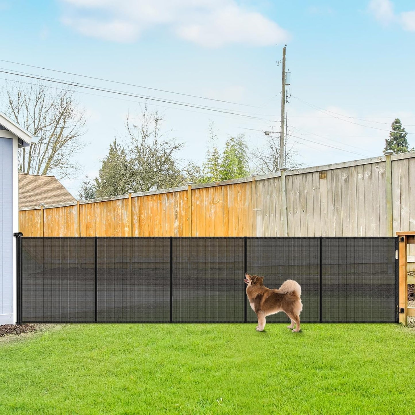 Reinforced 42 in Tall Retractable Dog Gate for Extra Wide Openings