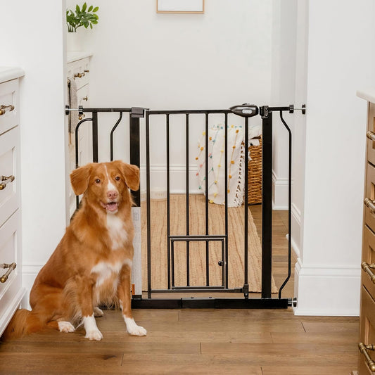 Carlson Extra Wide Walk Through Pet Gate with Small Pet Door