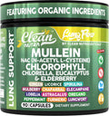 Mullein Leaf Lung Cleanse Capsules - All-in-One Respiratory Support