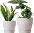 Ceramic Plant Pots Indoor Set of 2 - Milky White Honeycomb
