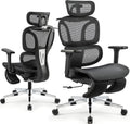 Kassipo Ergonomic Office Chair: Ultimate Comfort!