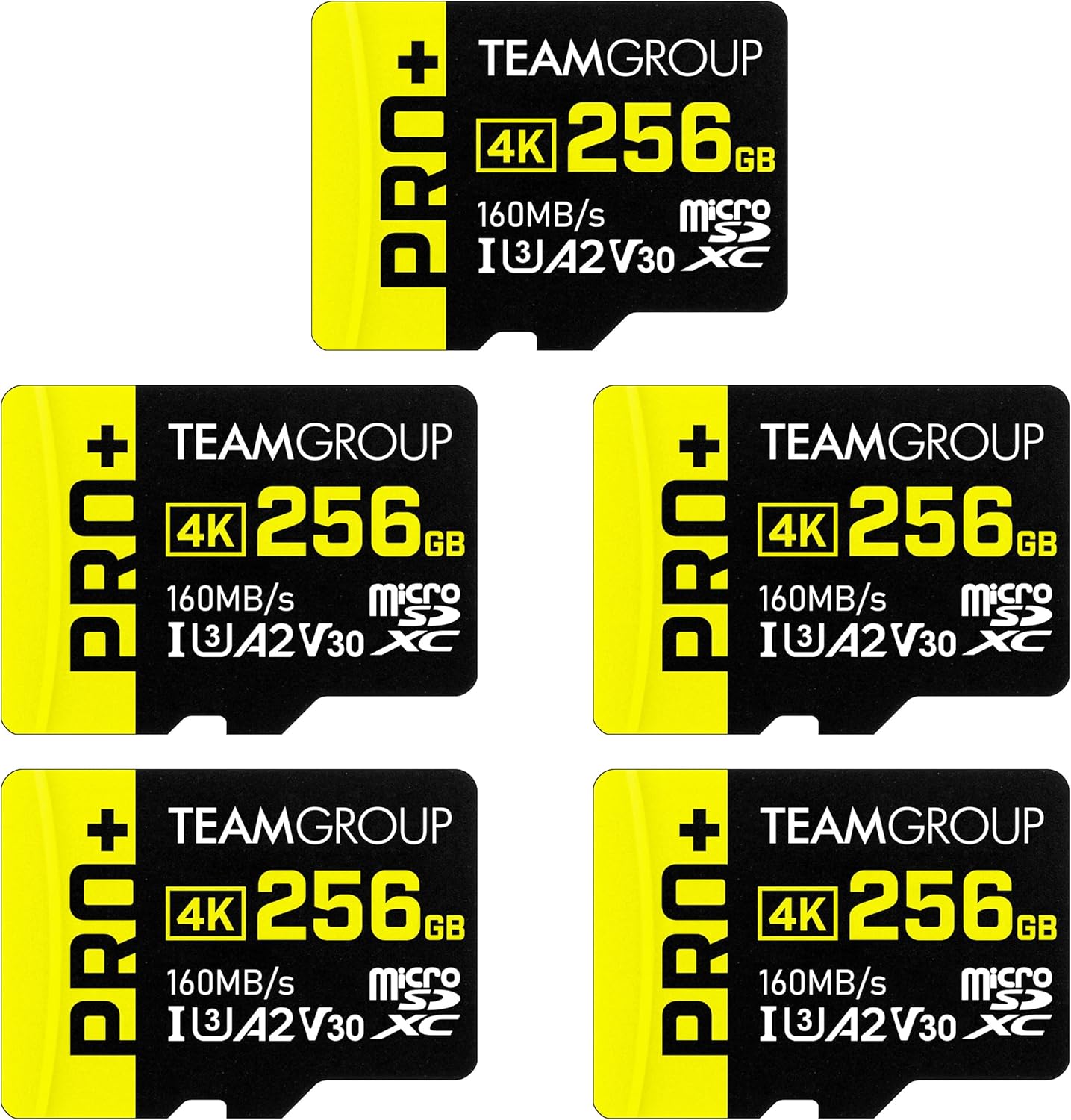 TEAMGROUP A2 Pro Plus 256GB Micro SDXC Card for Gaming Devices