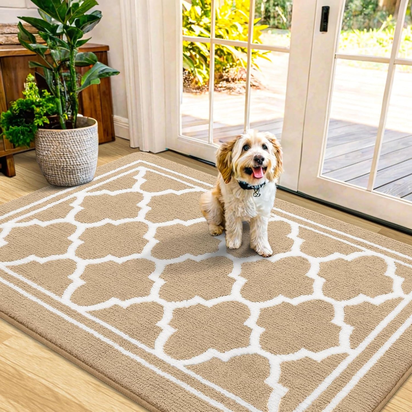 Buganda Indoor Door Mat: Dirt-Resistant, Absorbent, Anti-Slip