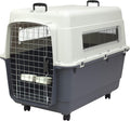 SportPet Designs Plastic Kennels Rolling Plastic Wire Door Travel Dog