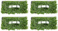 SodPods St. Augustine Palmetto Grass Plugs for Lawn Repair - 32 Pack