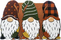 Briarwood Lane Fall Gnomes Medium Coir Doormat for Your Home