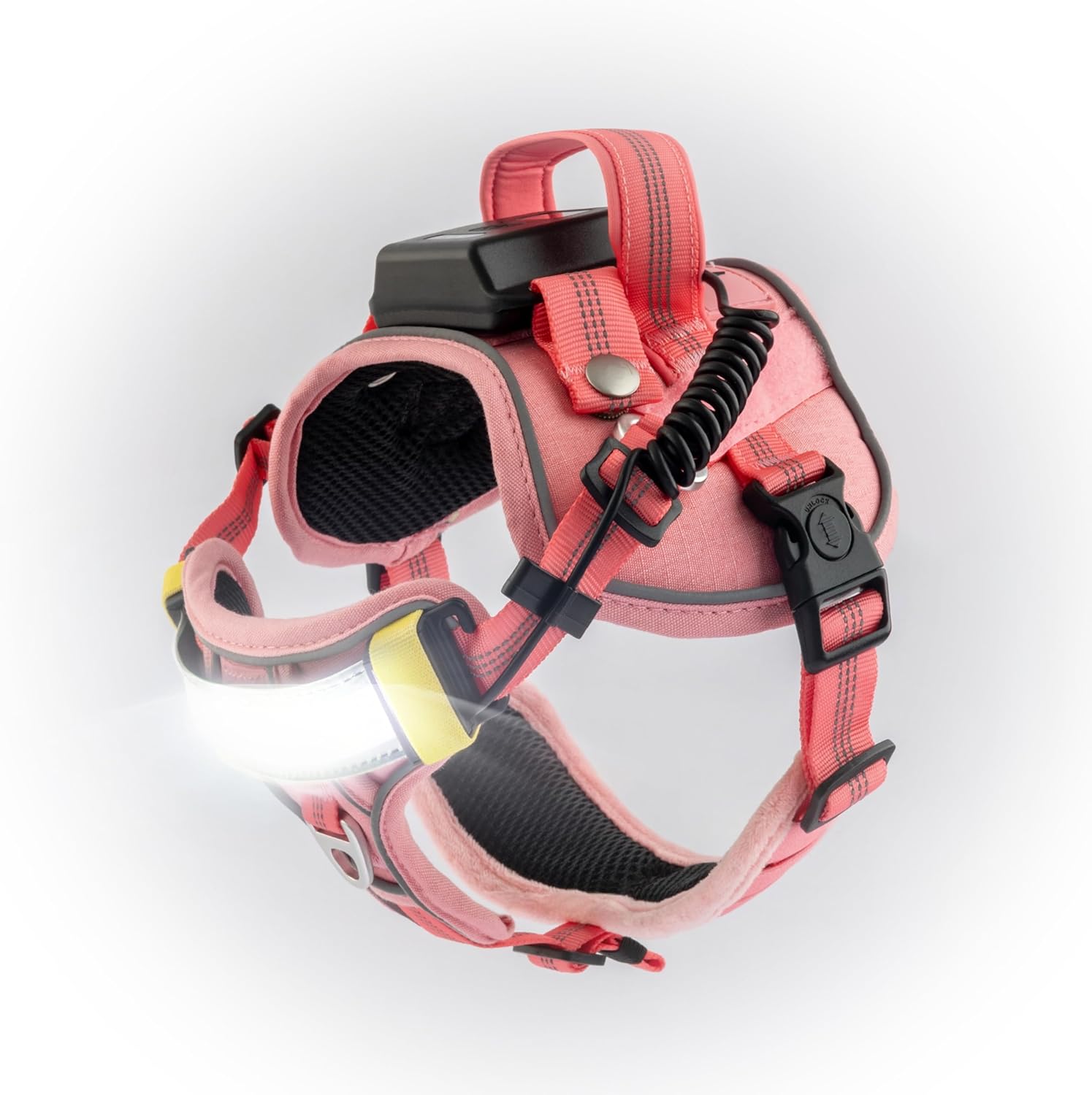 Lumi One LED Dog Harness for Night Safety and Visibility