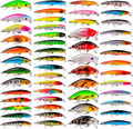 Bass Fishing Lures Kit 53pcs Assorted Topwater Hard Baits - Complete