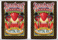 FoxFarm Strawberry Fields Fruiting & Flowering Potting Soil - Boost