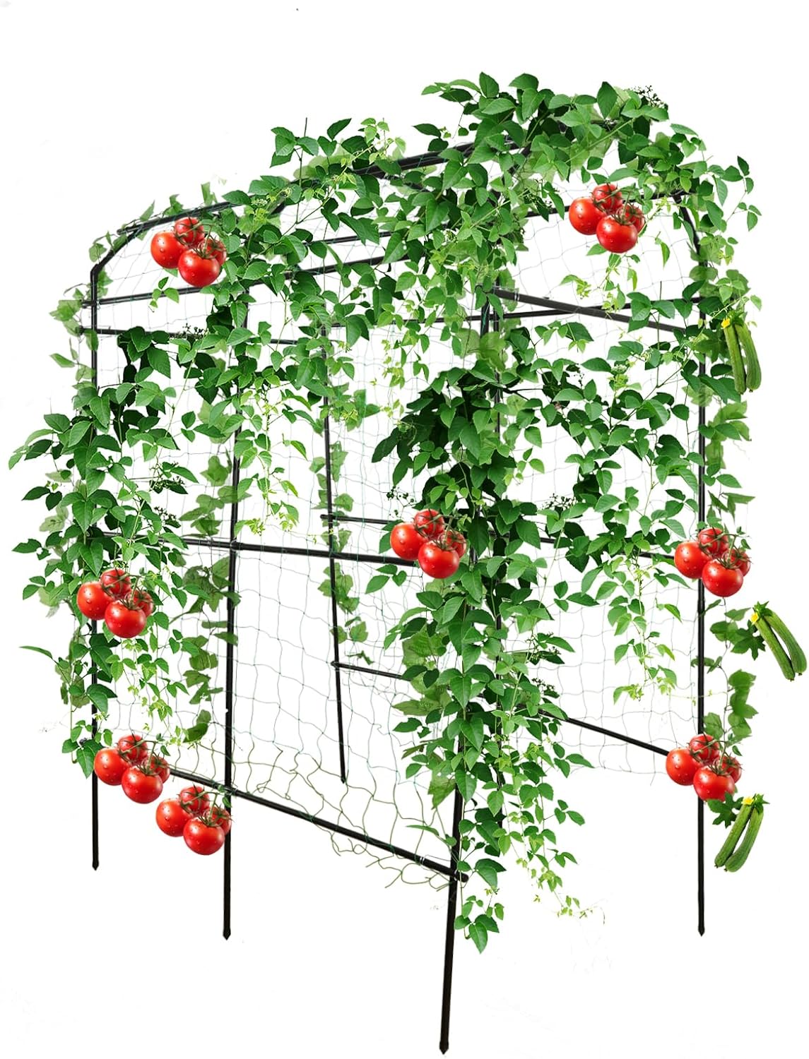 Tall Garden Arch Trellis for Climbing Plants, 7.5 ft Durable
