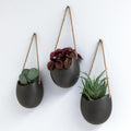 Wall Planters Ellie - 3-Piece Hanging Ceramic Planters - Graphite