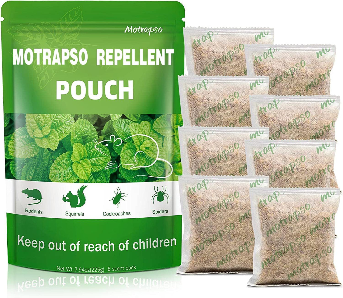Peppermint Mouse Repellent - Safe & Efficient