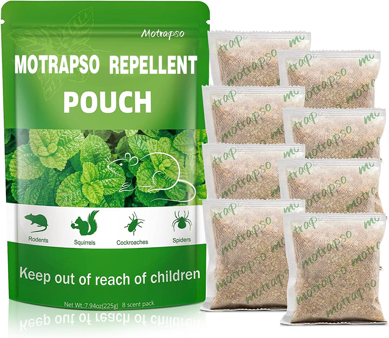 Peppermint Mouse Repellent - Safe & Efficient