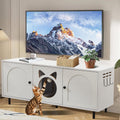 Large Cat Litter Box Enclosure for 2 Cats - Hidden Litter Box Cabinet