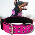 Dog Collar for Large Dogs 2 in Hot Pink with Handle - Heavy Duty XL